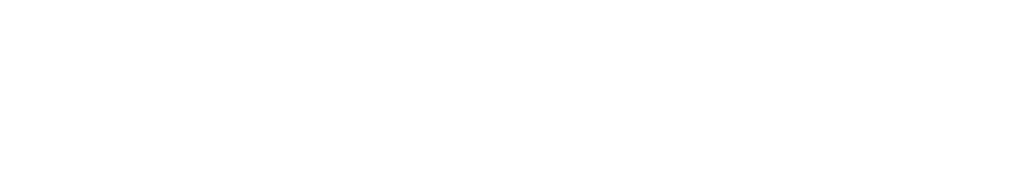 Academy Logo